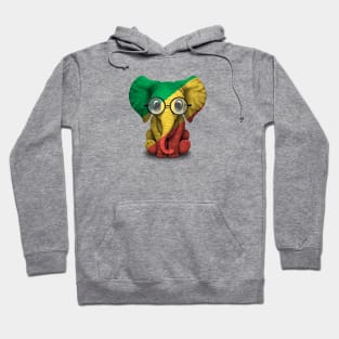 Baby Elephant with Glasses and Congo Flag Hoodie